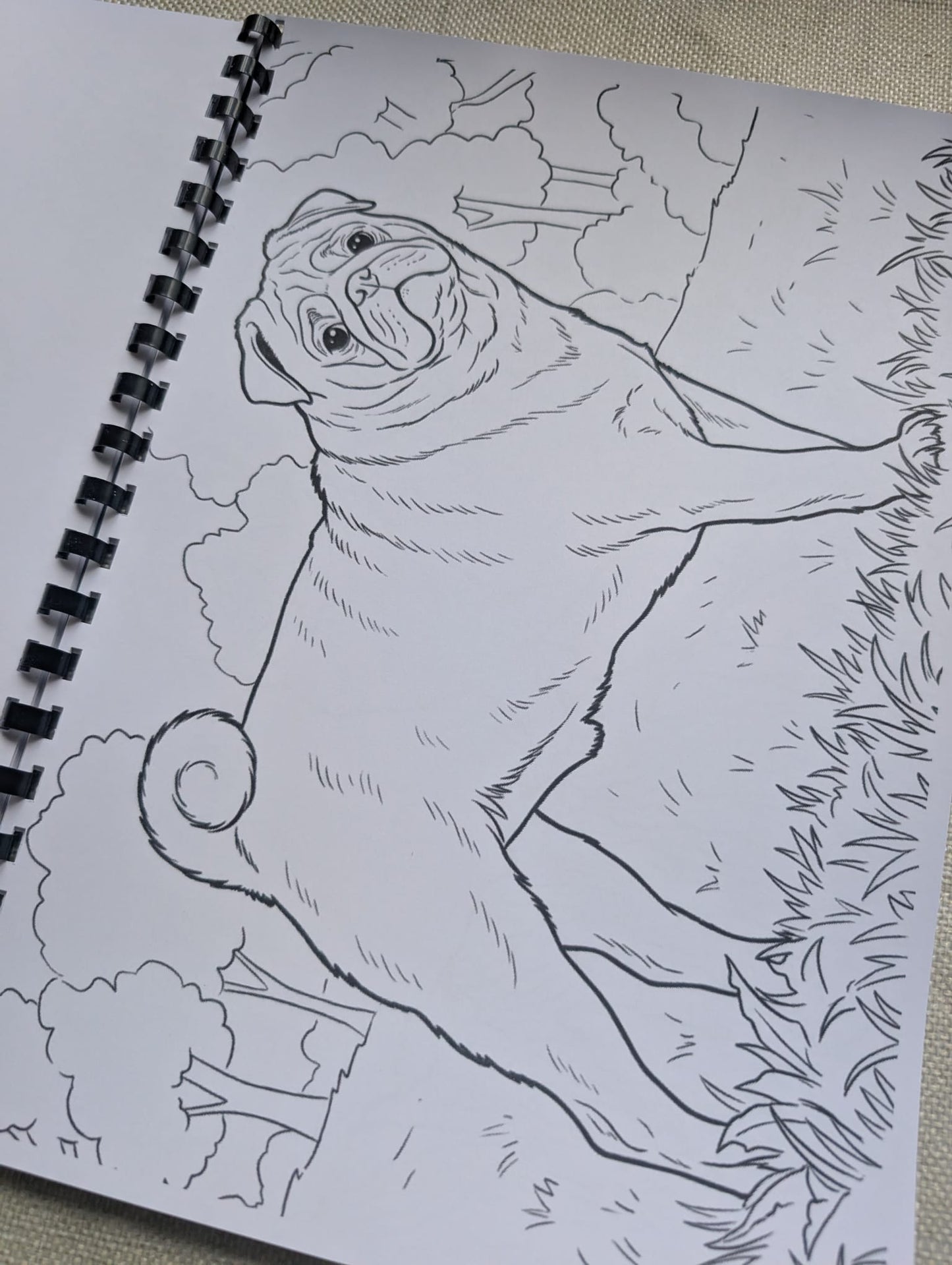 Pugs Colouring Book – Adorable Pug Dog Colouring Book | 20+ Cute & Fun Pug-Themed Colouring Pages