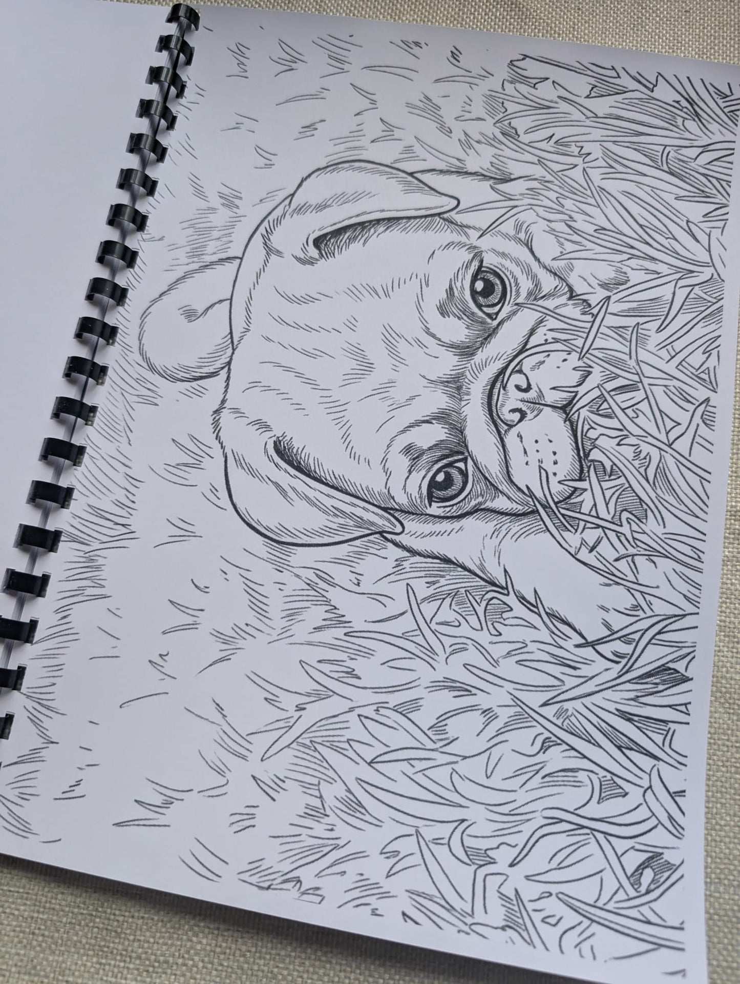 Pugs Colouring Book – Adorable Pug Dog Colouring Book | 20+ Cute & Fun Pug-Themed Colouring Pages