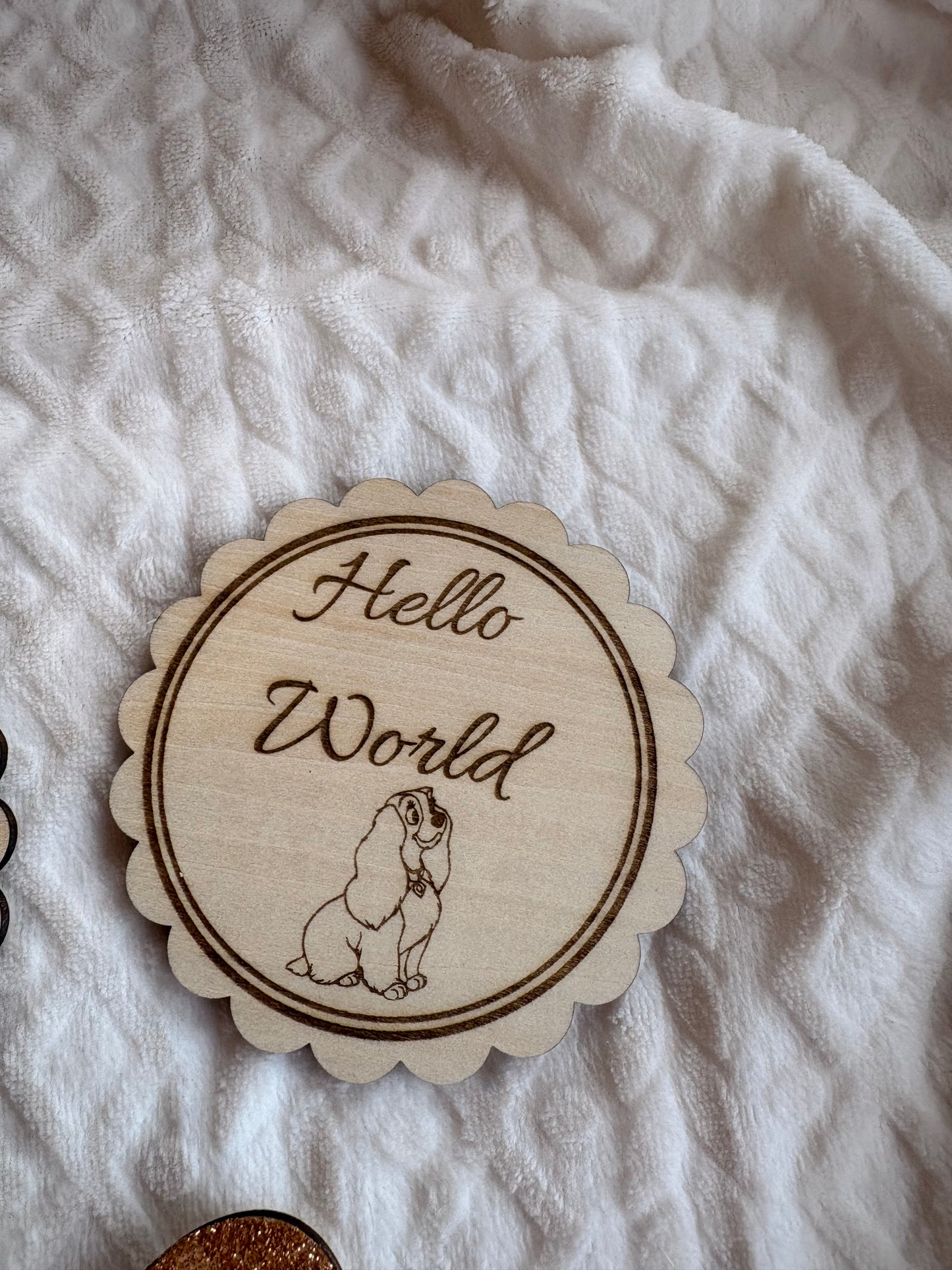 Personalised Hello World Baby Sign | Wooden Birth Announcement Photo Prop | Custom New Baby Plaque