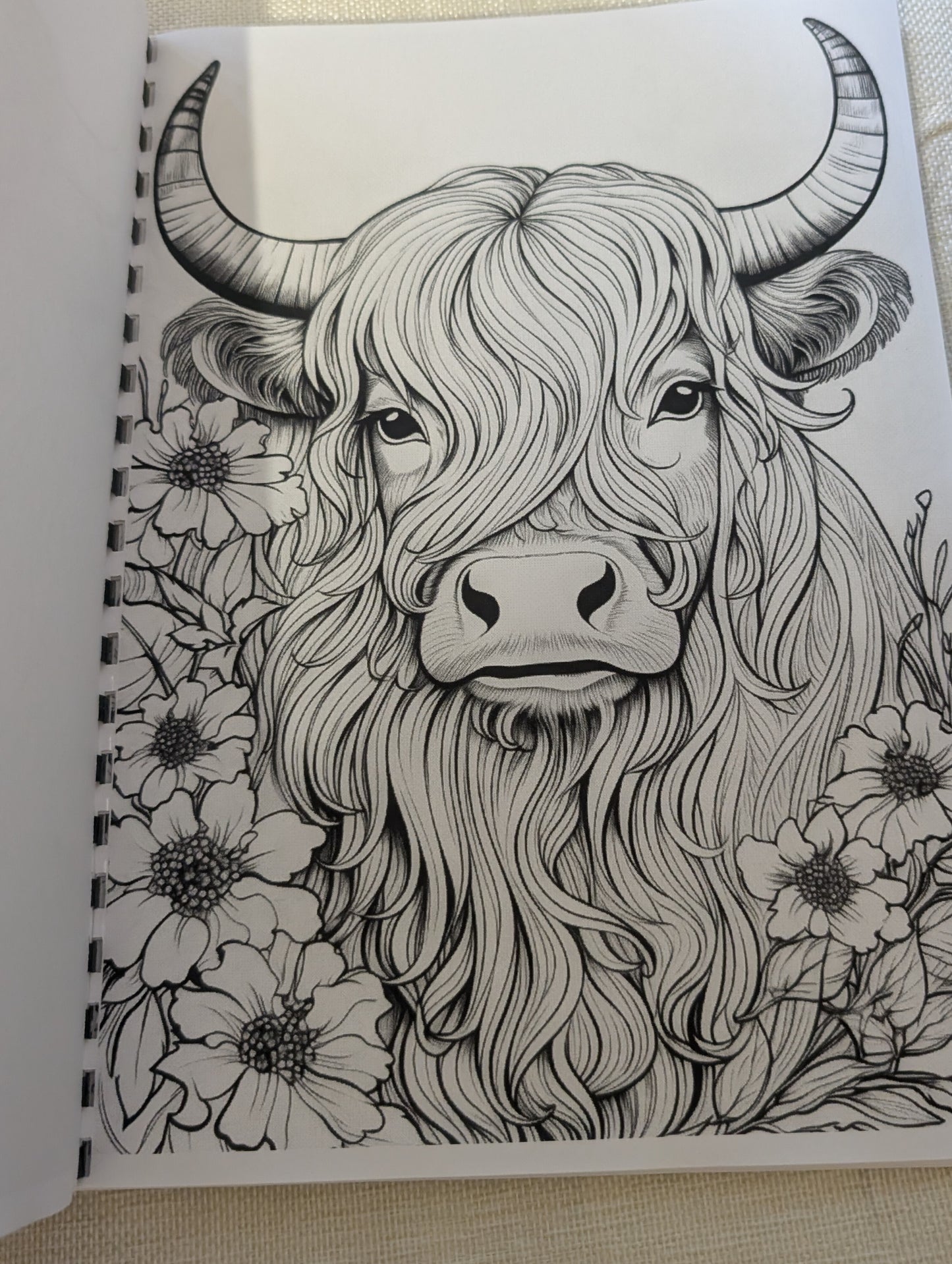 Adult Highland Cows Colouring Book – Relaxing Highland Cow Colouring Book for Adults | 20+ Detailed Countryside Colouring Pages
