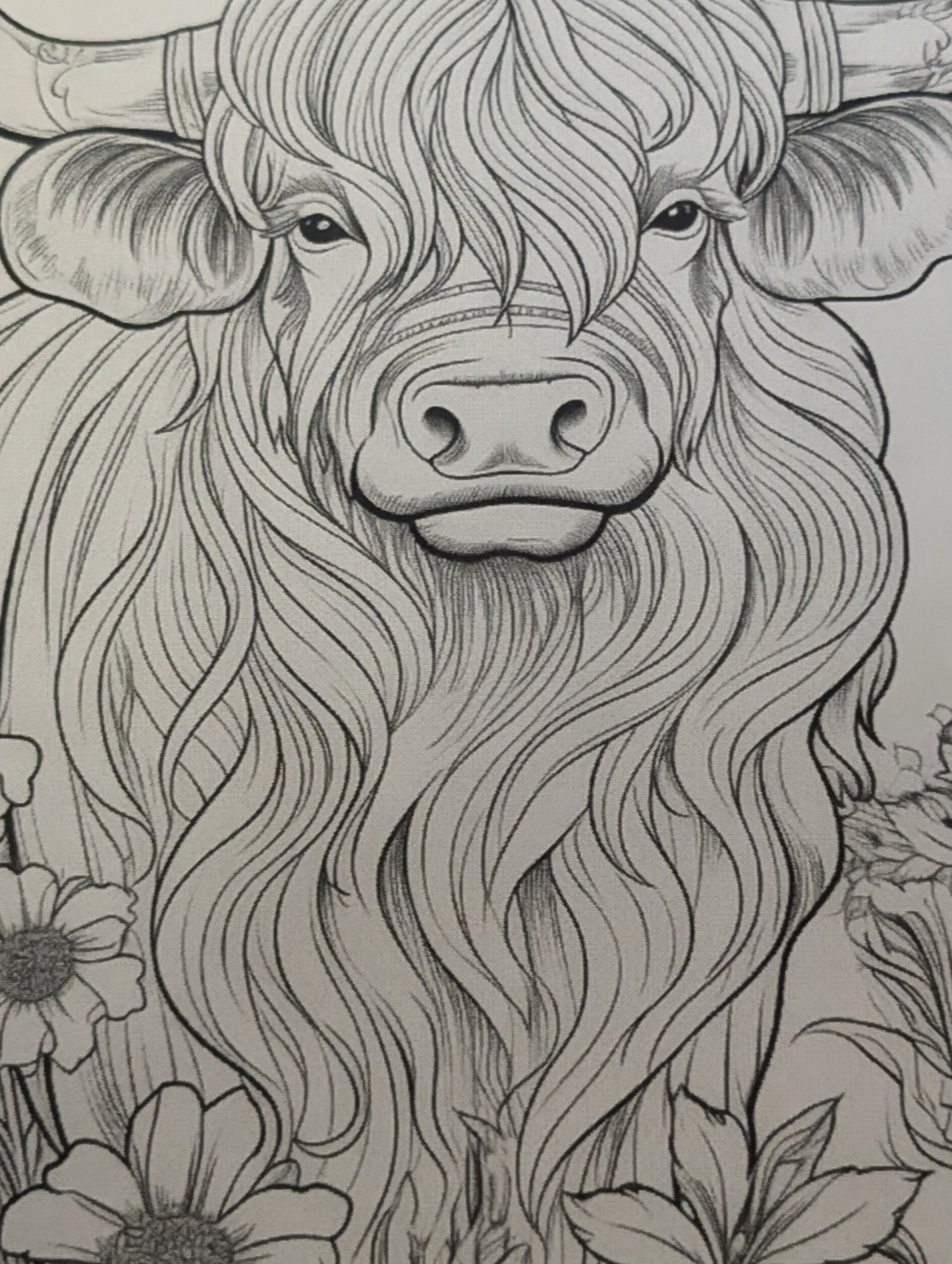 Adult Highland Cows Colouring Book – Relaxing Highland Cow Colouring Book for Adults | 20+ Detailed Countryside Colouring Pages