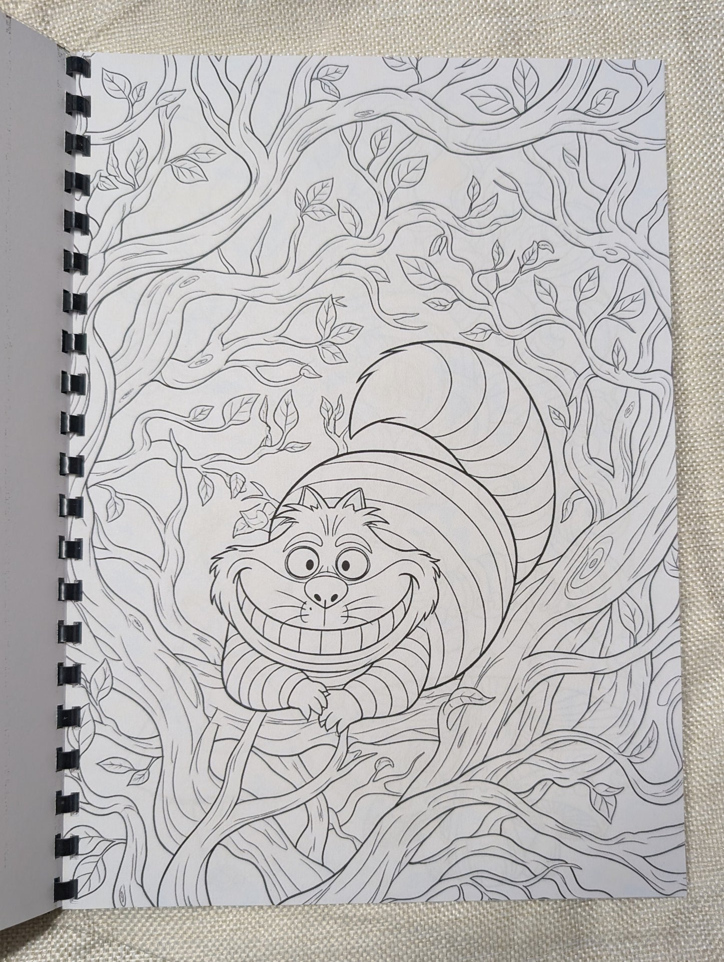 Alice in Wonderland Inspired Colouring Book