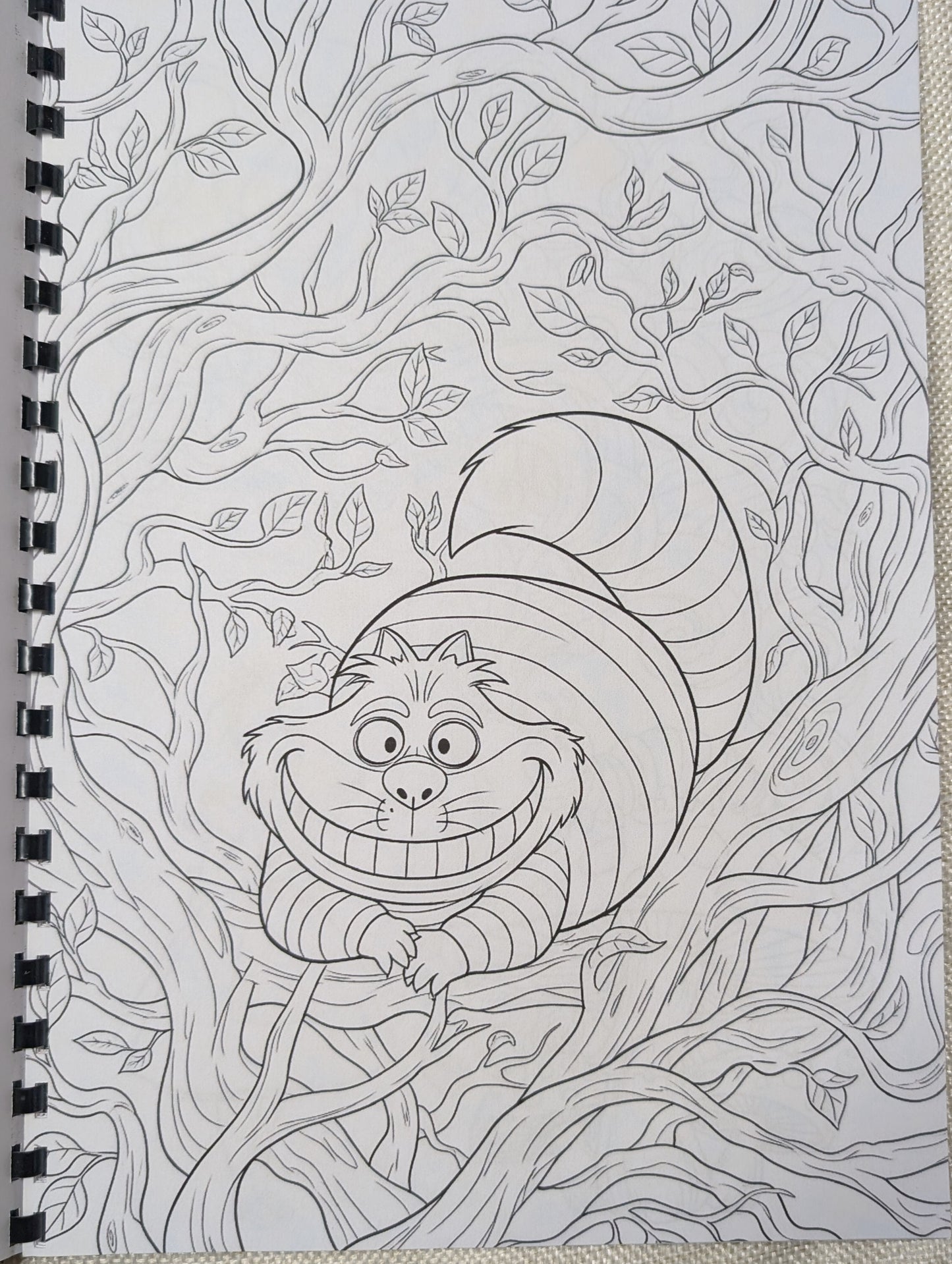 Alice in Wonderland Inspired Colouring Book