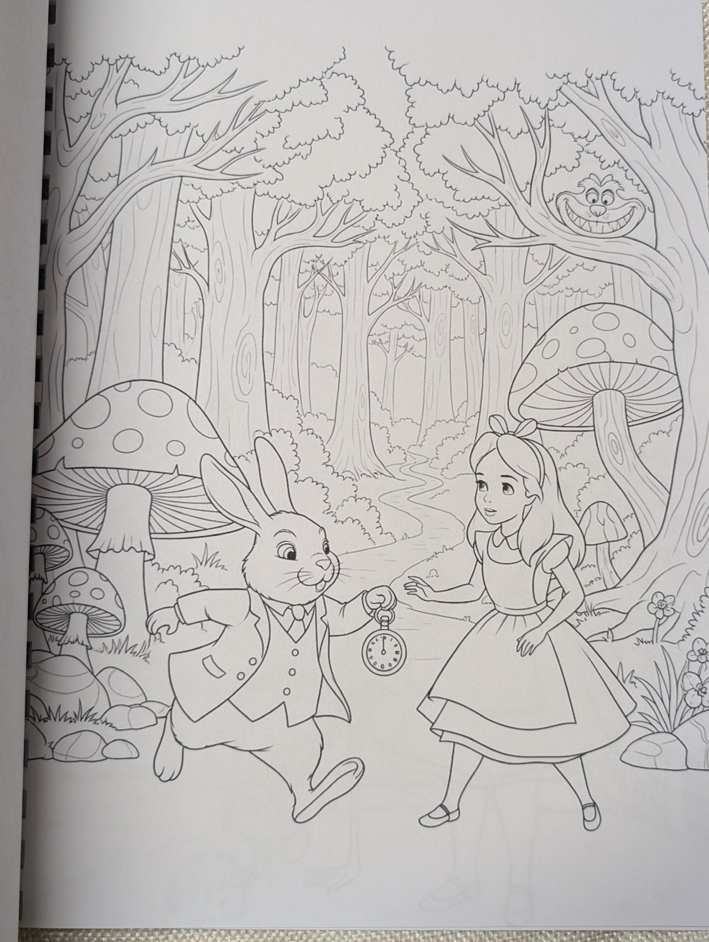 Alice in Wonderland Inspired Colouring Book