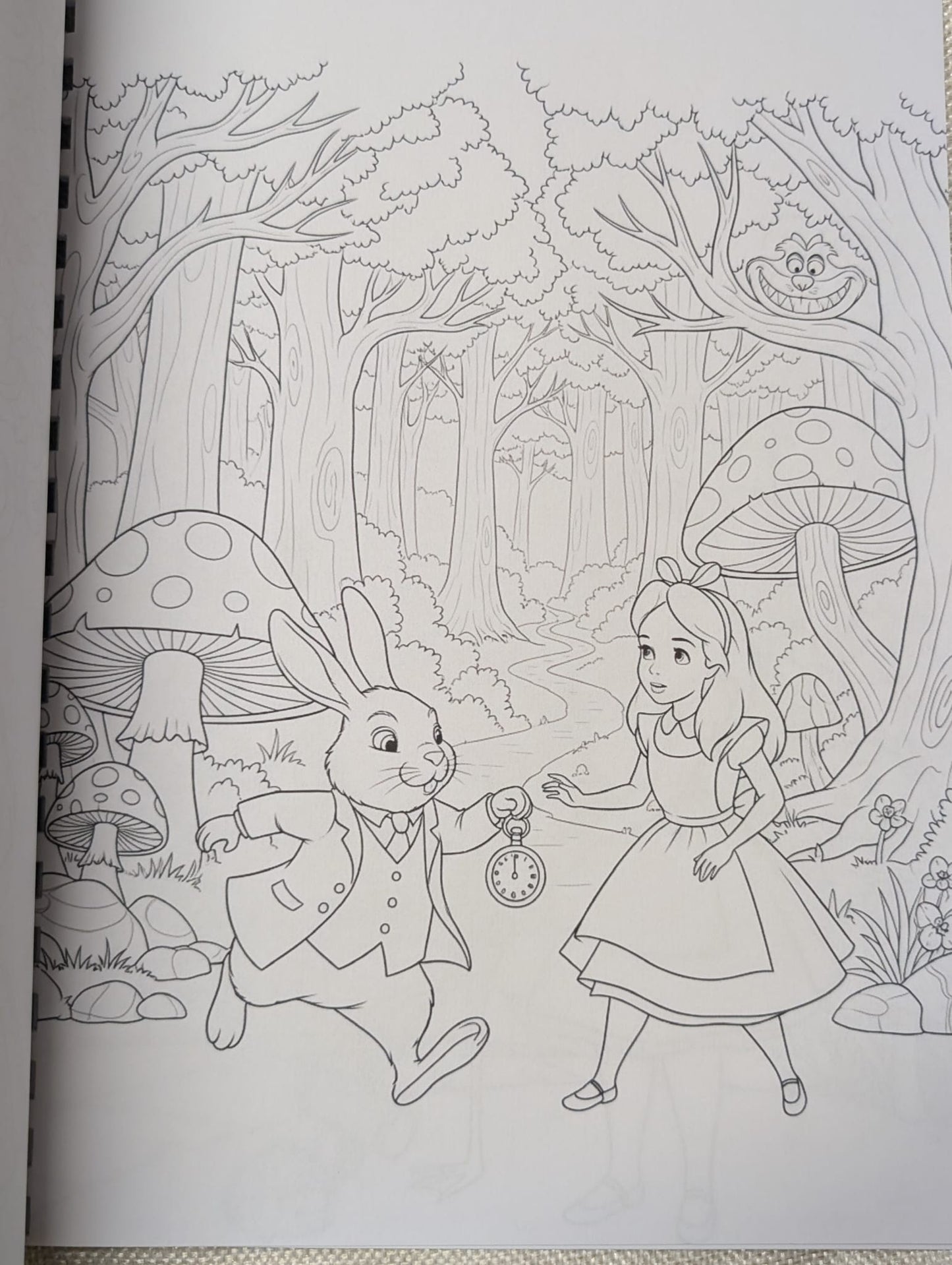 Alice in Wonderland Inspired Colouring Book
