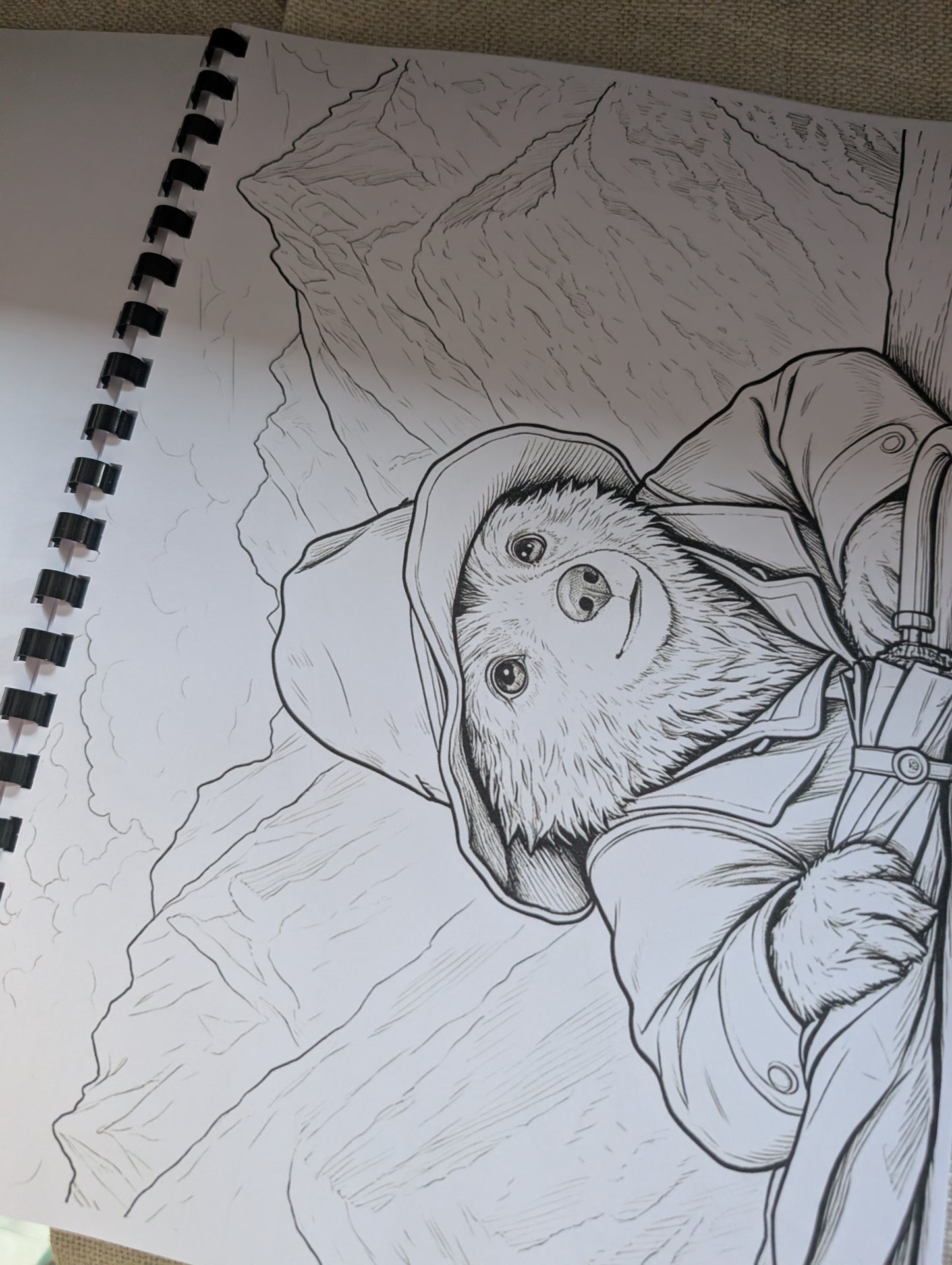 Paddington Bear Colouring Book