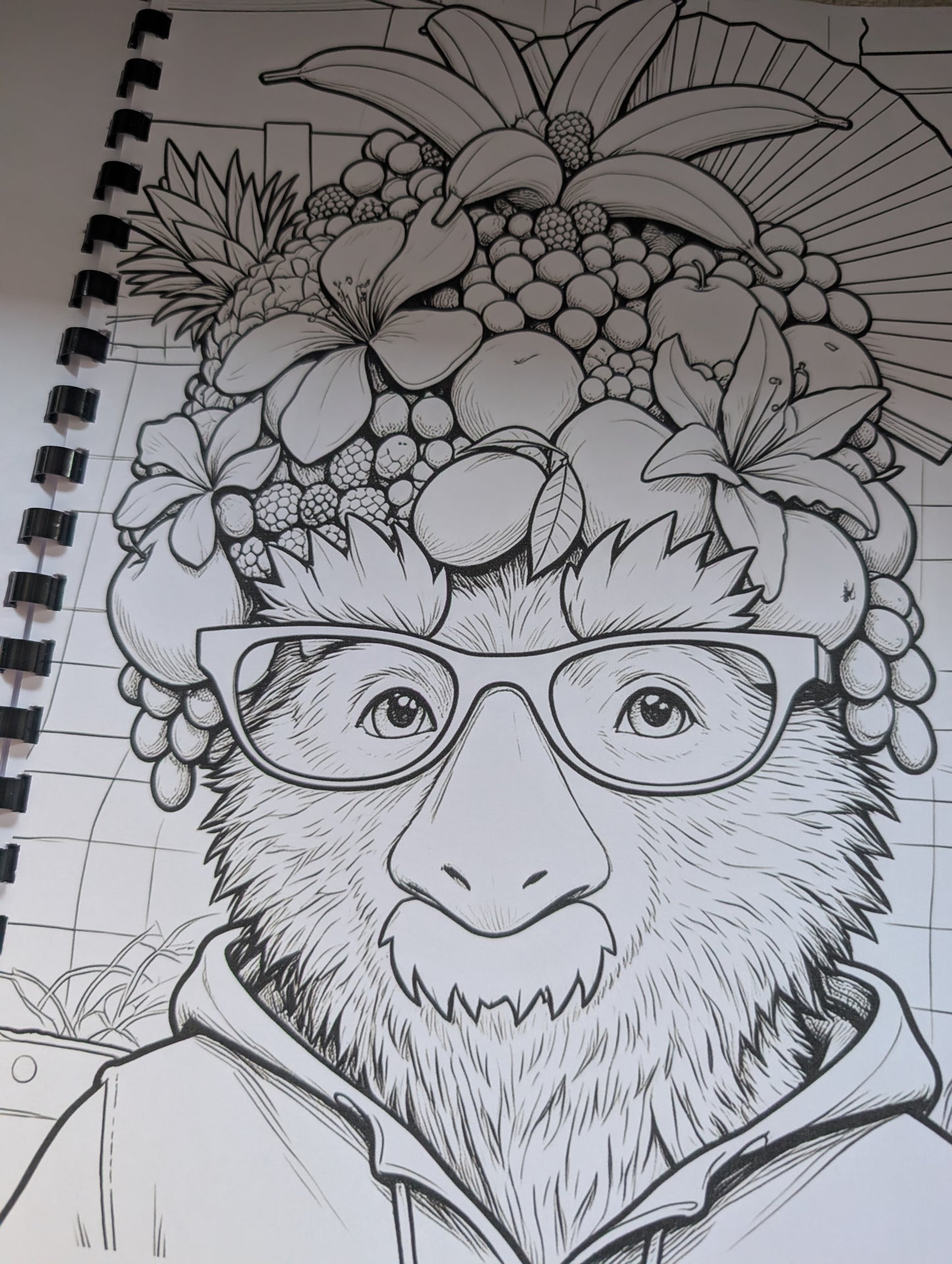 Paddington Bear Colouring Book