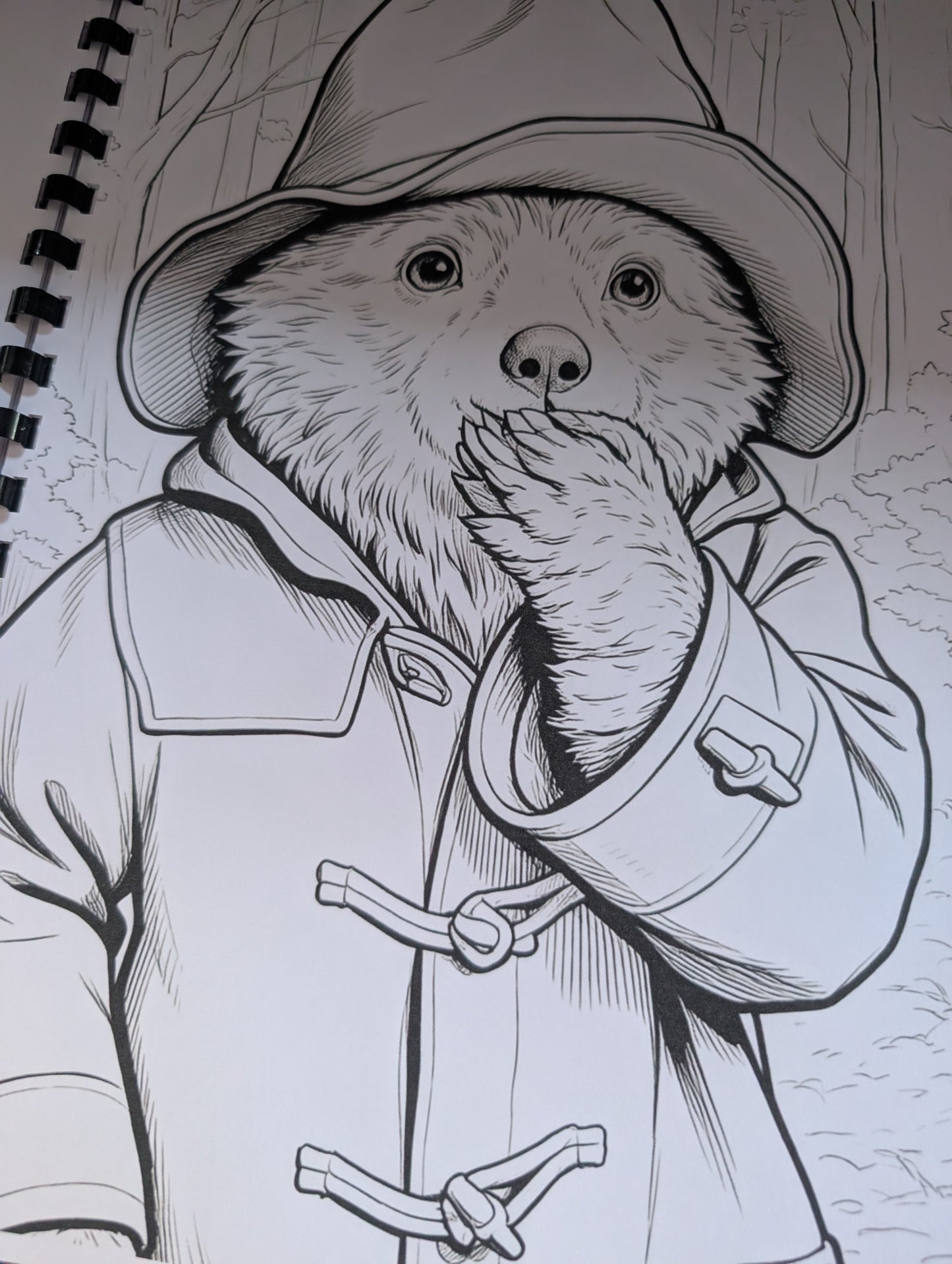 Paddington Bear Colouring Book