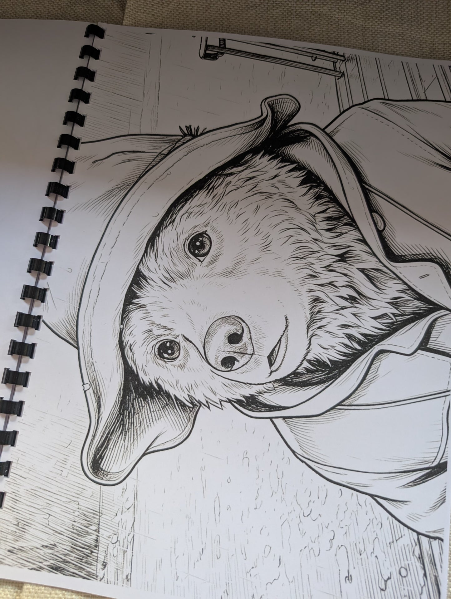 Paddington Bear Colouring Book