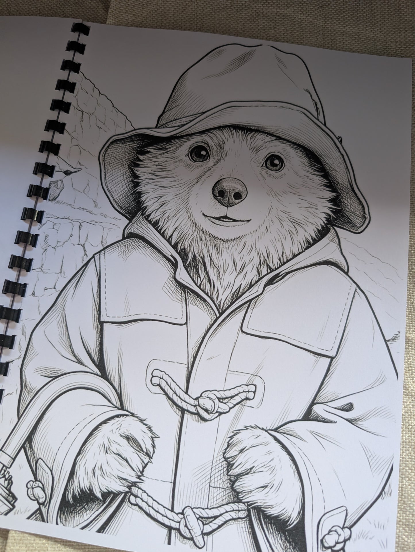 Paddington Bear Colouring Book