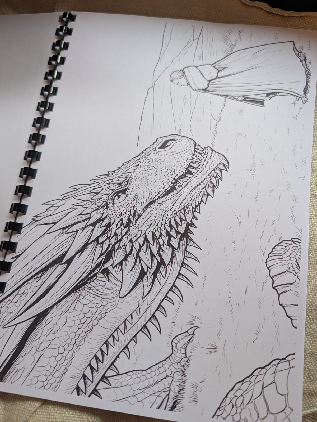 Game of Thrones Colouring Book | Fantasy TV Inspired Adult Colouring Book