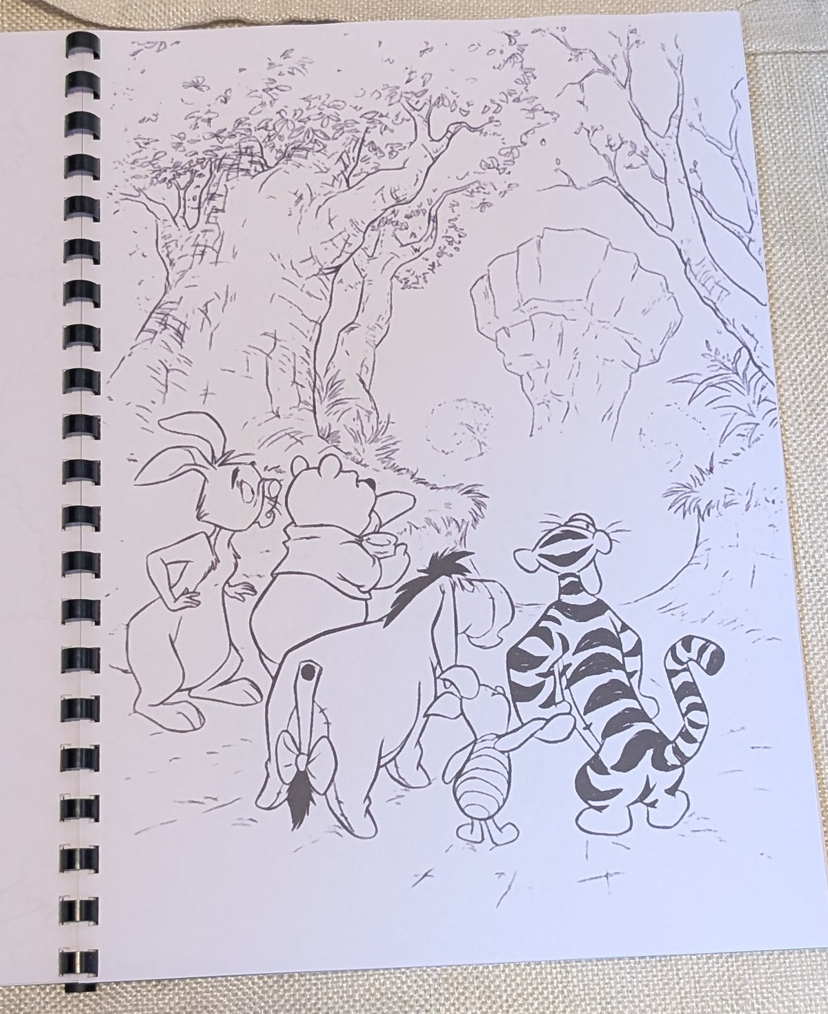 Winnie the Pooh and Friends Colouring Book | Classic Character Inspired Colouring Book
