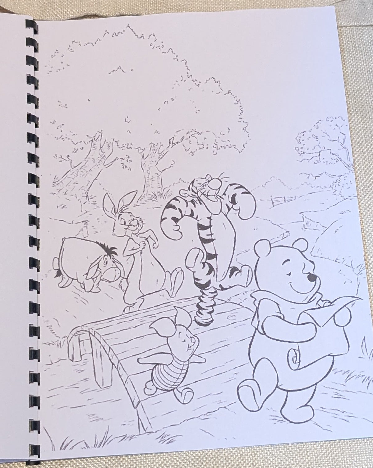 Winnie the Pooh and Friends Colouring Book | Classic Character Inspired Colouring Book