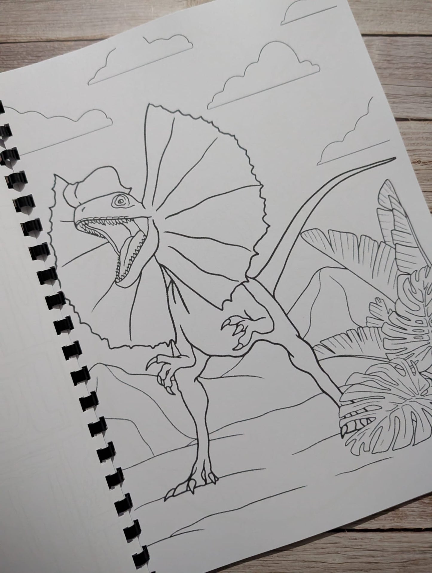 Dinosaur Adventure Colouring Book A4 | Prehistoric Theme Colouring Book | 20+ Pages | Kids & Adults Colouring Book | Printed in UK