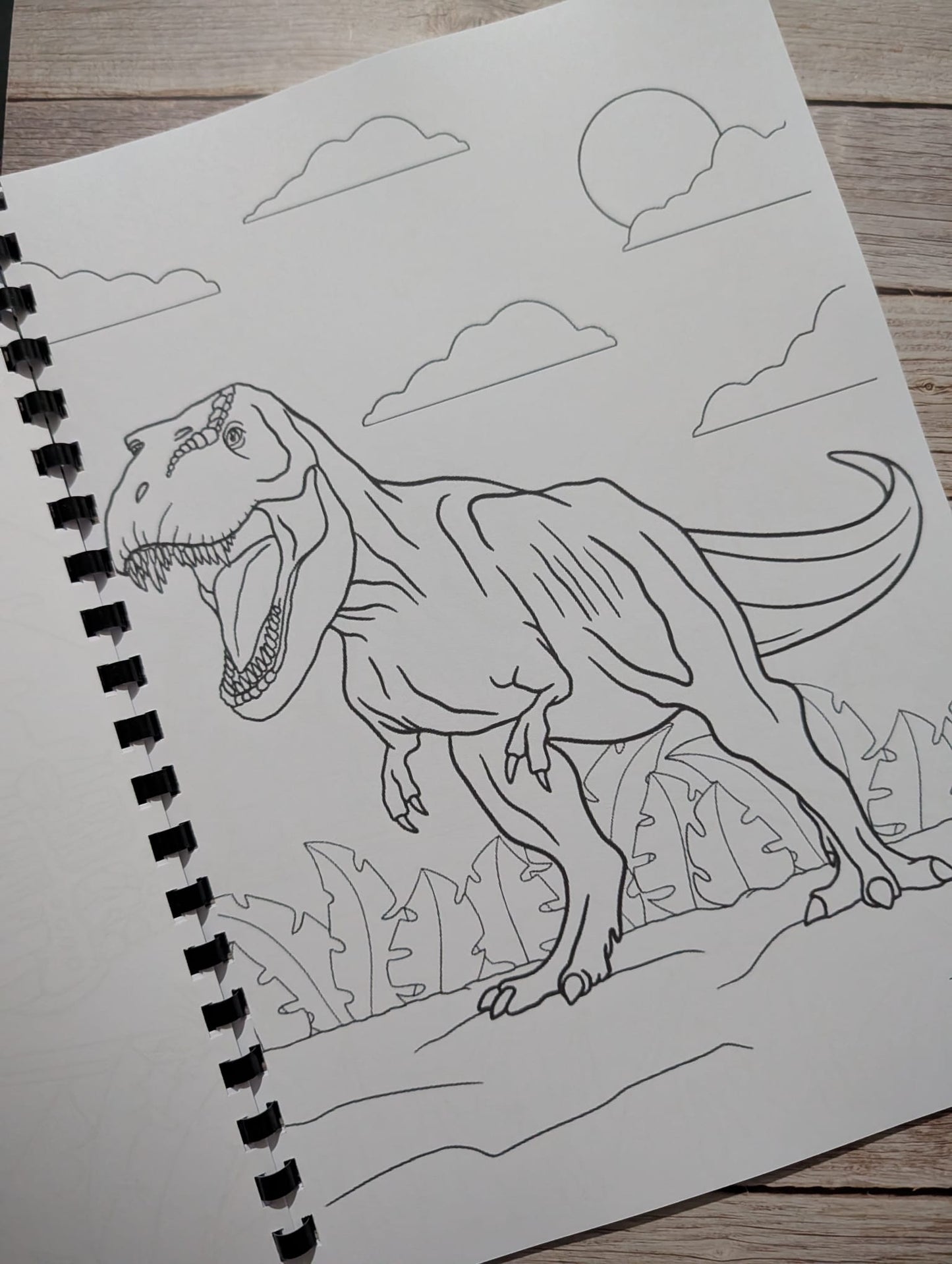 Dinosaur Adventure Colouring Book A4 | Prehistoric Theme Colouring Book | 20+ Pages | Kids & Adults Colouring Book | Printed in UK