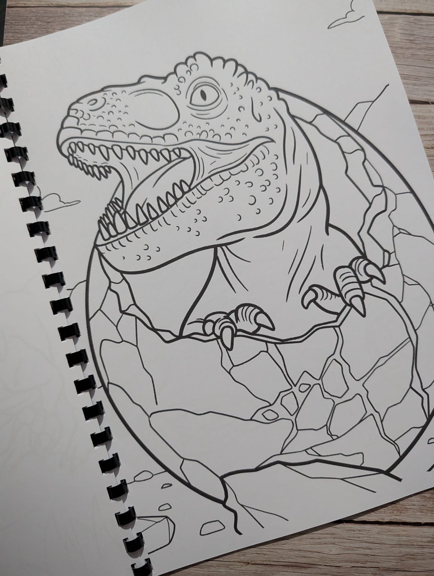 Dinosaur Adventure Colouring Book A4 | Prehistoric Theme Colouring Book | 20+ Pages | Kids & Adults Colouring Book | Printed in UK