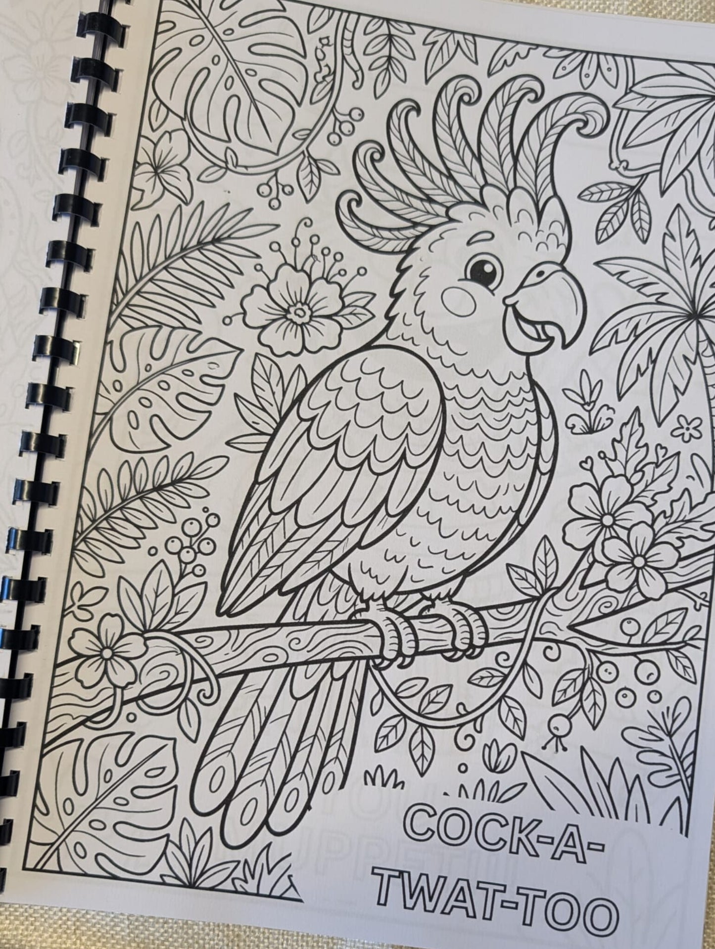 Adult Swear Colouring Book A4 | Funny Rude Colouring Book for Stress Relief | 20+ Pages | Humour Gift | Printed in UK