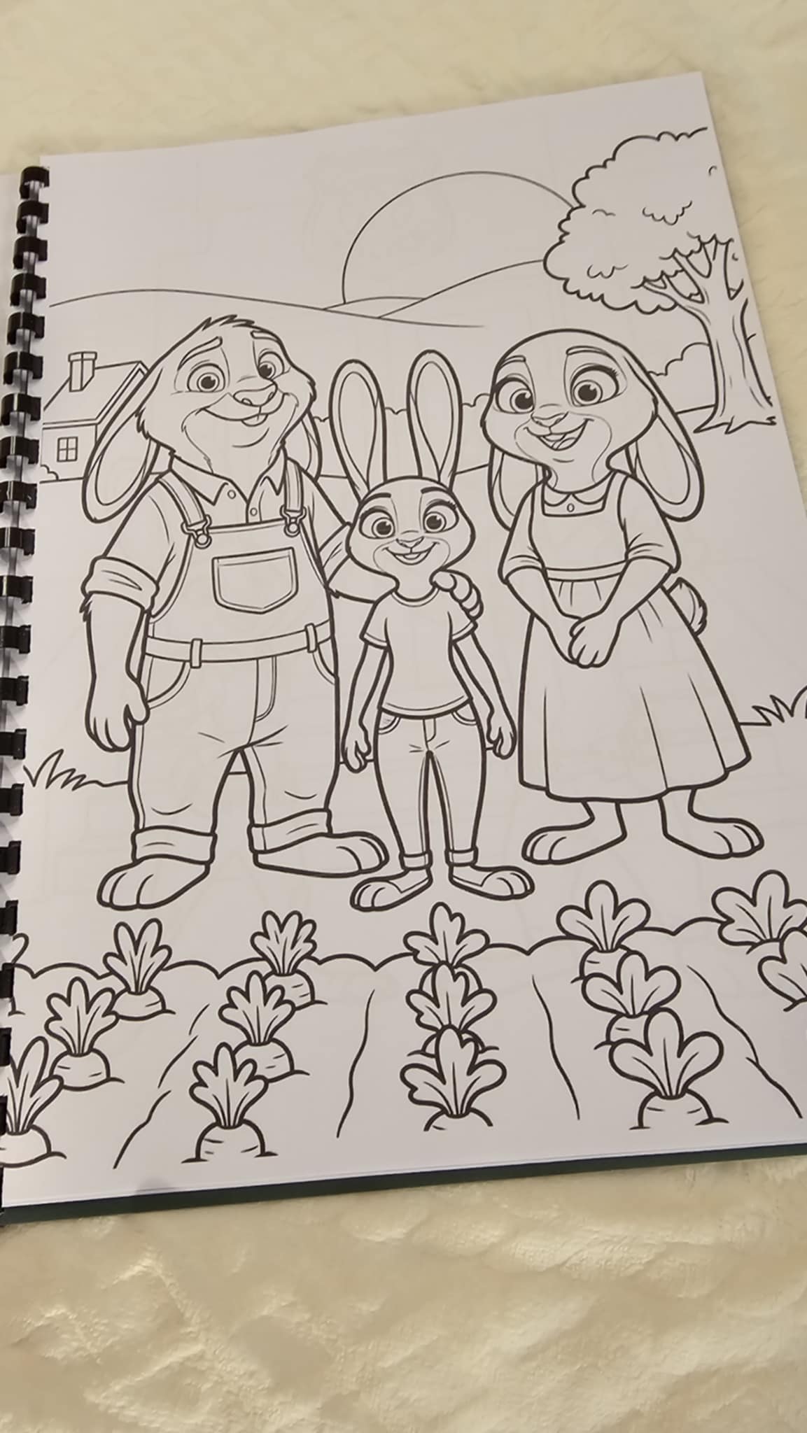 Zootopia Colouring Book