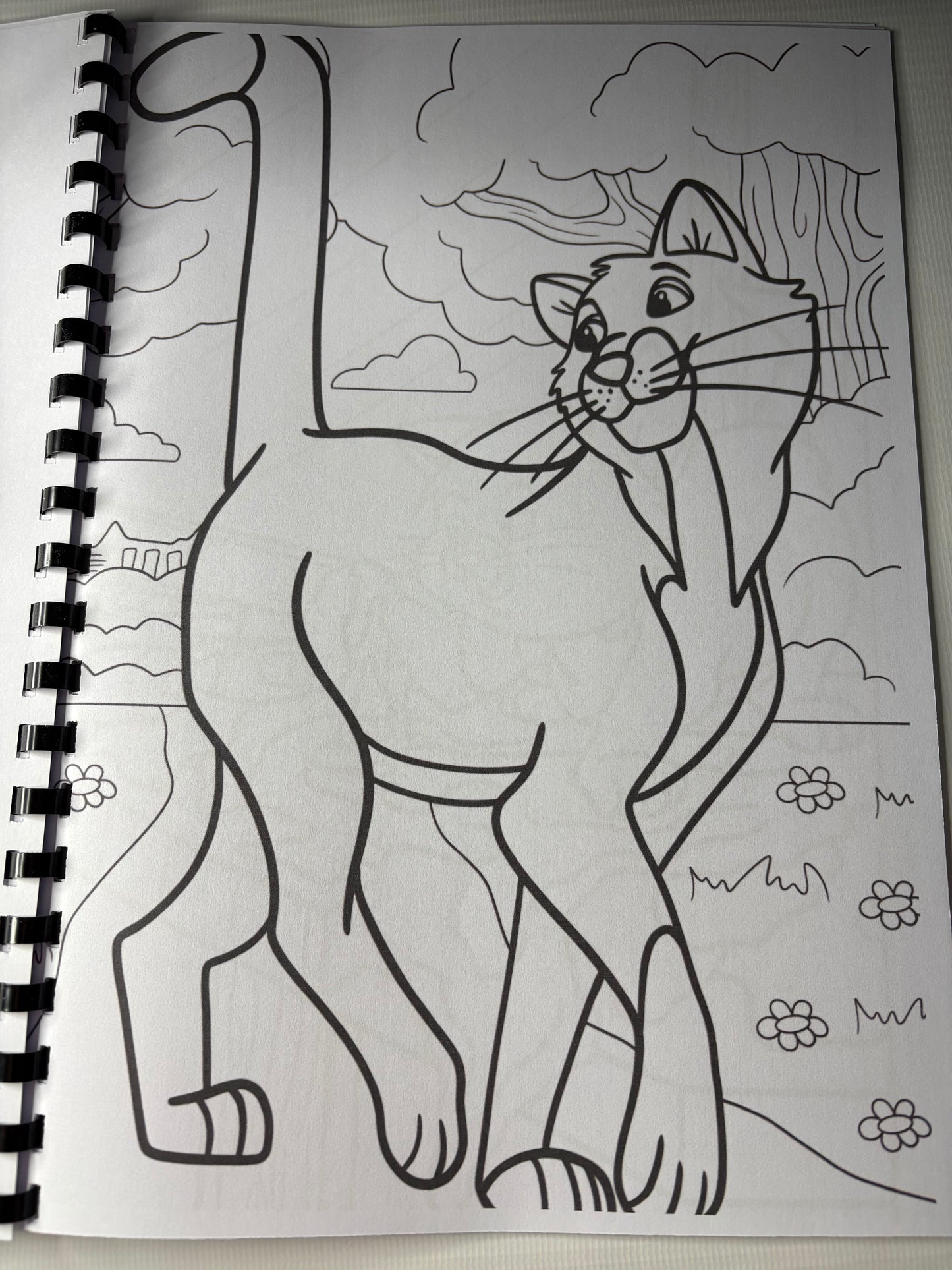 Aristocats Inspired Colouring Book